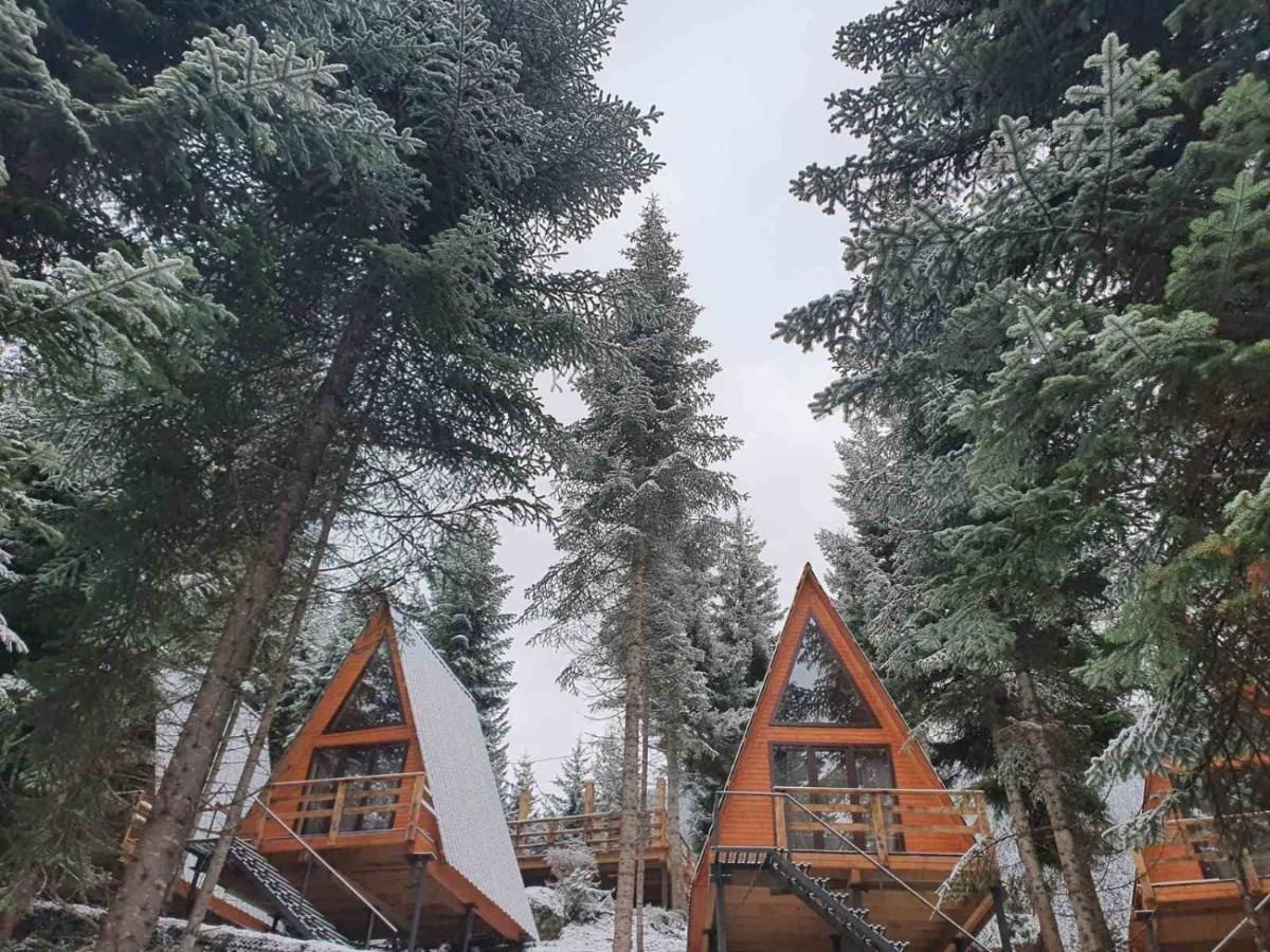 Лоджи Bude Mestia cottages Местиа-9